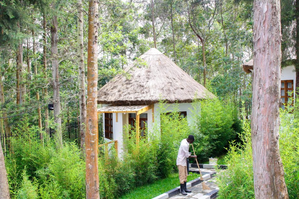 View from the cottages